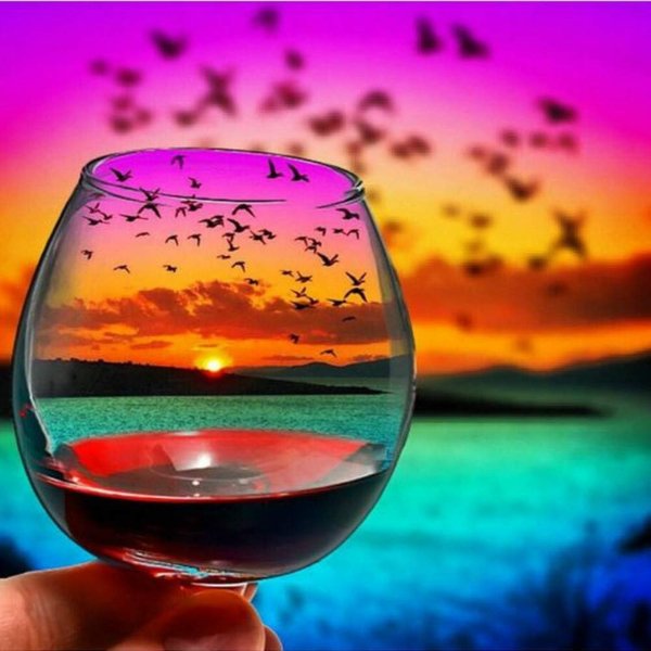 Faraway Goose Bird Cup Landscape 5d Diamond Painting Kits for Adults Kids Full Drill Round Diamond Rhinestone Mosaic for Home Wall Decor 12X12inch