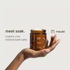 Maude Soak No. 1 - Nourishing Mineral Bath Salts for Solo or Partner Bath Soaks - Rejuvenating & Moisturizing Bath Soak Made of Hand-Harvested Coarse Dead Sea Salt Crystals + Vitamins (8 oz)