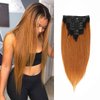 Clip in Hair Extensions Remy Human Hair Ombre Straight Hair Silky Thick Real 100% Human Hair For Black Women Virgin Hair 8Pcs Total of 18 Clips 140g（18Inch，#1B/30 Brown）