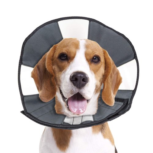 ZenPet Pet Recovery Cone E-Collar for Dogs and Cats - Always Use with Your Pet's Everyday Collar - Comfortable Soft Collar is Adjustable for a Secure and Custom Fit (Medium)