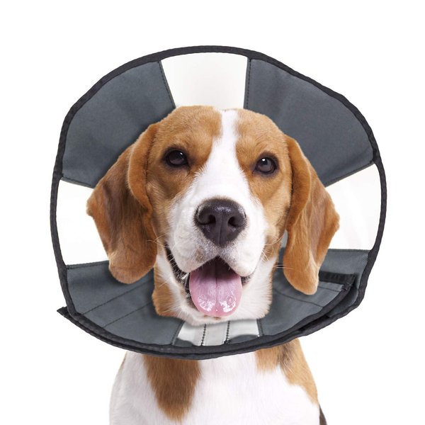 ZenPet Pet Recovery Cone E-Collar for Dogs and Cats - Always Use with Your Pet's Everyday Collar - Comfortable Soft Collar is Adjustable for a Secure and Custom Fit (Medium)