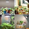 SANSI 200W Equivalent LED Grow Light Bulb, BR30 24W Full Spectrum Grow Bulb with 120° Wide Beam Angle for Indoor Plants, 4000K Daylight White Plant Lights