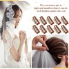 Crowye 20 Pieces Chunni Clips with Safety Pins 10 Teeth Wig Clips Strong Dupatta Grip Clip Flat Dupatta Setting Clips Hair Extension Clips for Woman Hijab Veil Hair Extensions Hairpieces(Brown)