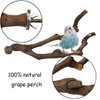 kathson Natural Parrot Perch Bird Stand Pole Wild Grape Stick Paw Grinding Fork Parakeet Climbing Standing Branches Toy Chewable Cage Accessories for Small Budgies Cockatiels Lovebirds 2PCS