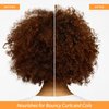 Function of Beauty Coily Hair Shampoo & Conditioner Base, 11 oz Each - Sulfate-Free, With Flaxseed Oil to Nourish & Hydrate Coils & Curls, and Jamaican Black Castor Oil to Moisturize & Revive