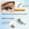 Anime Lashes With Clear Band Korean Lashes Natural Look 13mm Korean Eyelashes Wispy Anime Eyelashes 10 Pairs False Lashes Japanese Korean Natural Lashes Asian Lashes by Obeyalash