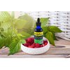 Dr. Rydland's Herbal Supplement | Created by KidsWellness | Detox & Skin | Relieves Eczema, Rosacea, Acne and Viral Skin Rashes | 2 Ounce Bottle