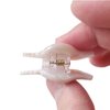 Mini Conch Hair Clip,Acetate Claw Clips,Hair Clips for Women,Pack of 2
