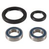 All Balls Racing 25-1753 Wheel Bearing Kit Front Compatible With/Replacement For Suzuki DR-Z 400 2000-2003, DRZ400SM, DRZ400S 2017, DR-Z 400 SM 2005-2016, DR-Z 400 S 2000-2016, DR-Z 400 E 2000-2007