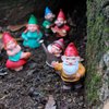 Safari Ltd. Gnome Family TOOB - Hand-Painted, 6 Pieces Lifelike Model Figures - Fun Educational Fantasy Toy for Boys, Girls & Kids Ages 3+