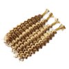 DSEKCAIN P27/613 Human Braiding Hair Deep Wave Bulk Human Hair For Braiding Crochet Bohemian/Boho Knotless Braids Micro Braiding Hair Wet And Wavy 100gram (2 of 50g) Highlight Blonde Color 18 Inch