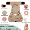 Grecle Washable Female Dog Diapers - Premium Reusable Diapers for Doggie in Heat - Highly Absorbent Dog Diapers Female for Pet Incontinence with Adjustable Snaps (Morandi, M)
