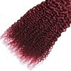 1B99J Bundles Ombre Kinky Curly Human Hair Bundles 8A Grade Brazilian Unprocessed Virgin Hair 3 Bundles 20 22 24 Inch Two Tone Black Wine Red Bundles Human Hair Extensions