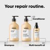 L'Oreal Professionnel Absolut Repair Conditioner | Protein Hair Treatment | Repairs Damage & Provides Shine | With Quinoa & Proteins | For Dry, Damaged Hair | 16.9 Fl. Oz.