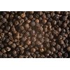Black Peppercorns (Whole) - Plastic Jar (holds 3.0 Oz. [ 85 Grams] ) - KOSHER