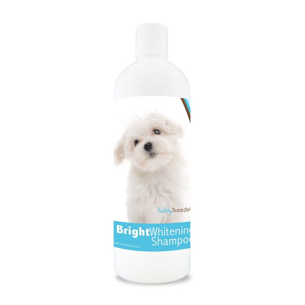 Healthy Breeds Maltese Bright Whitening Shampoo 12 oz, Pina Colada