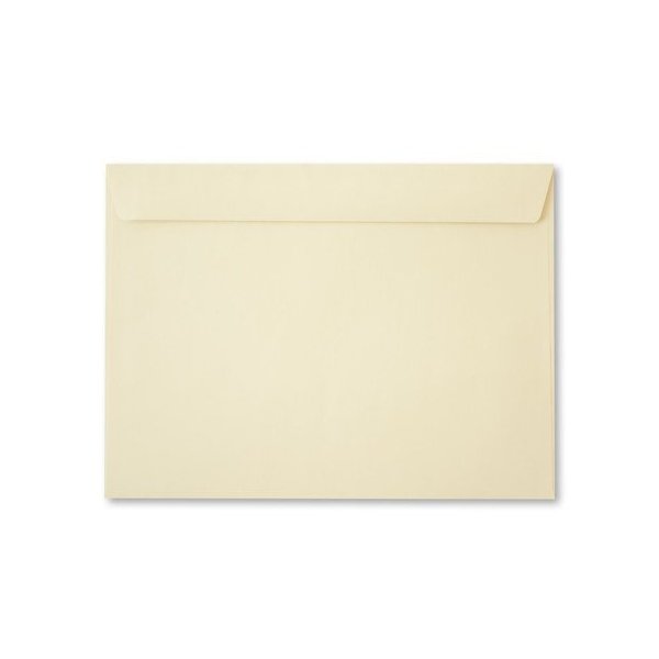 9 X 12 Booklet Envelopes - Natural (50 Qty.)