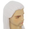 Dai Cloud White Straight Wigs for Men Halloween Costume Wig Long White Straight Male Hair Cosplay Anime Wig for Party