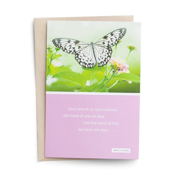 DaySpring - Max Lucado - Sympathy - Tender Comfort - 6 Premium Cards with Envelopes