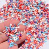 EHOPE Fake Sprinkles Clay Sprinkles 50G Nail Art Slices Polymer Slices Fake Candy Sugar Sprinkles for Nail Art DIY Crafts Cake Phone Case （50g-Flag）