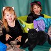 Sosation 16 Inch Black Cat Stuffed Animal Plush, Realistic Black Cat Soft Plush Pillow, Cute Plush Toy Gifts for Kids, Birthday Decoration Supplies