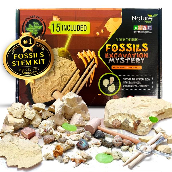 Dino Fossil Dig Kit for Kids 4-12 Discover Learn with Interactive Guide, Realistic Bones Excavation Tools Paleontology Science Prehistoric Dinosaurs Archaeology Adventure STEM Educational Toy Ages 4-8