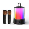 Portable Karaoke Machine, Bluetooth Speaker with 2PC Wireless Microphone, LED Lights, and USB/TF Card Support for Home, Parties, and Events (Black)