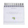 DaySpring - Max Lucado - You'll Get Through This: Hope and Help for Your Turbulent Times - An Inspirational DaySpring Day Brightener - Perpetual Calendar (26083)