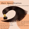 I Tip Human Hair Extensions,Real Hair I-Tip Extensions Keratin Bond Hair Extensions,100g 1g/Strand 20inches #2 Dark Brown Human Hair I Tip Extensions for Women