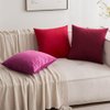 MIULEE Pack of 2 Velvet Soft Solid Decorative Square Throw Pillow Covers Set Cushion Cases Pillowcases for Sofa Bedroom Couch Car18x18 Inch 45x45 Cm