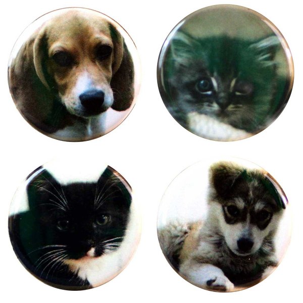 Buttonsmith® Puppies and Kittens 1.25" Refrigerator Magnet Set - Made in the USA