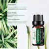 Lemongrass Essential Oil Organic Plant & Natural 100% Pure Therapeutic Grade Aromatherapy Oil for Diffuser, Humidifier, Bath, SPA, 2 Pack x10ml