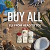 Old Spice Men's Antiperspirant & Deodorant Fiji with Palm Tree, 2.6oz (Pack of 3)