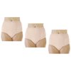 Wearever Women's Incontinence Underwear for Bladder Control with Super Absorbency - Reusable & Washable Leak Proof Underwear for Women - (Pack of 3) (Beige) (2X) (Fits Hip 45-48")