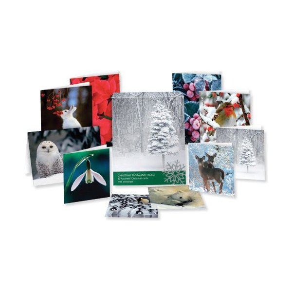 20 ECO FRIENDLY BOXED CHRISTMAS CARDS