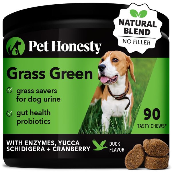 Pet Honesty Grass Green - Pee Grass Spot Saver Caused by Dog Urine, Gut Health Probiotics, Dog Urine Neutralizer for Lawn, Grass Burn Spot Chews, Cranberry, Apple Cider Vinegar, Dog Rocks (Duck 90 ct)