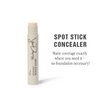 Jillian Dempsey Spot Stick Concealer | Easy Blending Matte Concealer for Blemishes & Uneven Skin Tones | Shade No. 01 Alabaster with Cool Pink Undertones