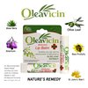 Natural Lip Balm by Oleavicin | Dry Lip Relief | Patented Moisturizing Formula for Chapped Lips | Organic Olive Leaf Extract
