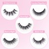 Lash Starter Pack Collection - Handcrafted Vegan Silk Strip Lashes - Lightweight and Comfortable - Available in 4 Styles: Fairy, Neo, Dawn, Dusk (Dusk Starter Pack)