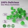 Sea Moss Supplement 5000mg, Sugar Free Sea Moss Gummies, Irish Sea Moss, Burdock Root, Bladderwrack, Apple Cider Vinegar, Organic Sea Moss, Immune System, Detox Cleanse, Thyroid Support, Vegan 60 Cts
