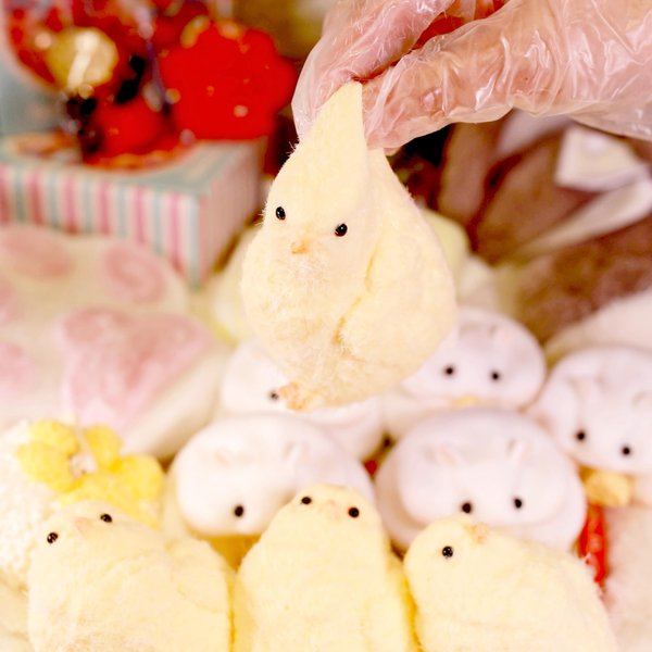 1pcs Handmade taba Squishy Chick Soft Squishy Fidget Toys Silicone Squeeze Toys for Stress Relief ( Chicken ) (1pcs)