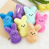 2025 Upgraded Easter Bunny Plush Toys with Zipper 15cm/6inch Cute Stuffed Rabbit Zip Up Bag Easter Basket Stuffers for Kids (6Pcs with Zipper)