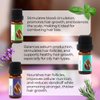 Set Hair Repair Organic Essential Oils | Basil (10ml) + Rosemary (10ml) + Clary Sage (5ml) | 100% Pure and Natural | Undiluted | Therapeutic Grade | Family-Owned Farm | Non-GMO | 3pcs