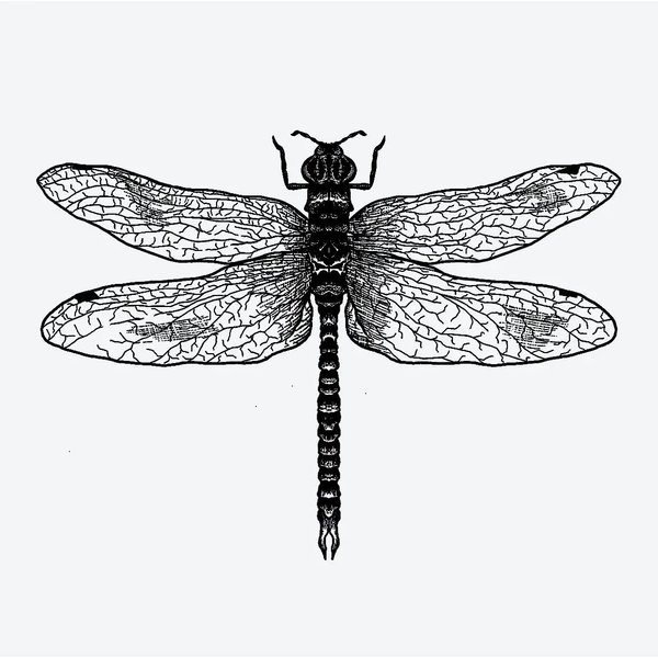 5X2Y Tattoo Tech, Long Lasting Temporary Tattoos, Last 1-2 Weeks, Waterproof, Semi Permanent Tattoo, Realistic look, No Adhesive, No reflection (Dragonfly)