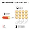 Collanol - Innovation in The Care of Healthy Joints - Liquid Formula in a Double Capsule 3D Collagen + micellar Extract of Turmeric Roots 1 Capsule/Day. Laboratory Tested (60 Capsules)