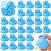 Hungdao 24 Pieces 2 Inch Mini Rubber Duck Bath Toys Squeaky Rubber Ducks Float Bathtub Ducks for Baby Shower Birthday Classroom Carnival Prizes Car Decor Supplies Summer Pool Party Favors(Blue)