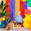 LOLStar Paw Birthday Decorations,2 Pack Gold Red and Blue Birthday Party Supplies 3.3 x 6.6ft Tinsel Foil Fringe Curtains Photo Booth Props Backdrop Streamers, House Doorway Room Decor for Kids