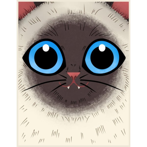 Cream color cat with mushroom color on face