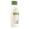 Aveeno Daily Moisturizing Body Wash, 12 Fl Oz