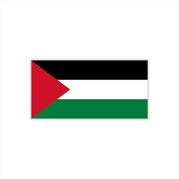 Womaha 30 Temporary Palestine Flag Tattoos Fans Face Tattoo Stickers for Adults Kids Group Activity Props
